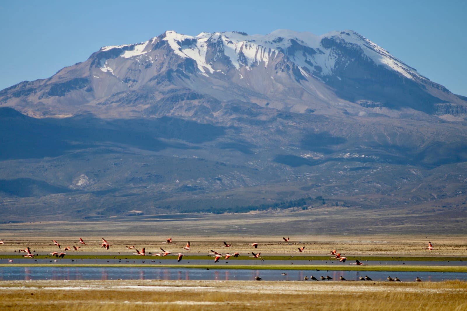 Nevado Sara Sara